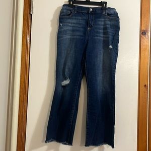 Childrens Place Girls Jeans Size 16 with adjustable waist EUC